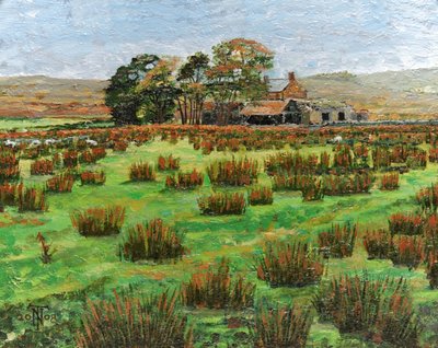 Farm, Cumbria, 2008 by Trevor Neal